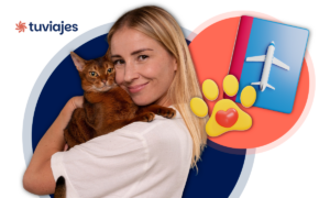 Guía completa para viajar en avión con un gato: requisitos y consejos